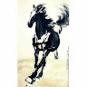 Meet your Posher, Li